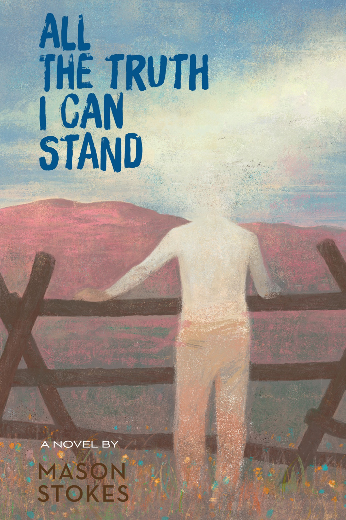 All The Truth I Can Stand 1st Edition Mason Stokes
