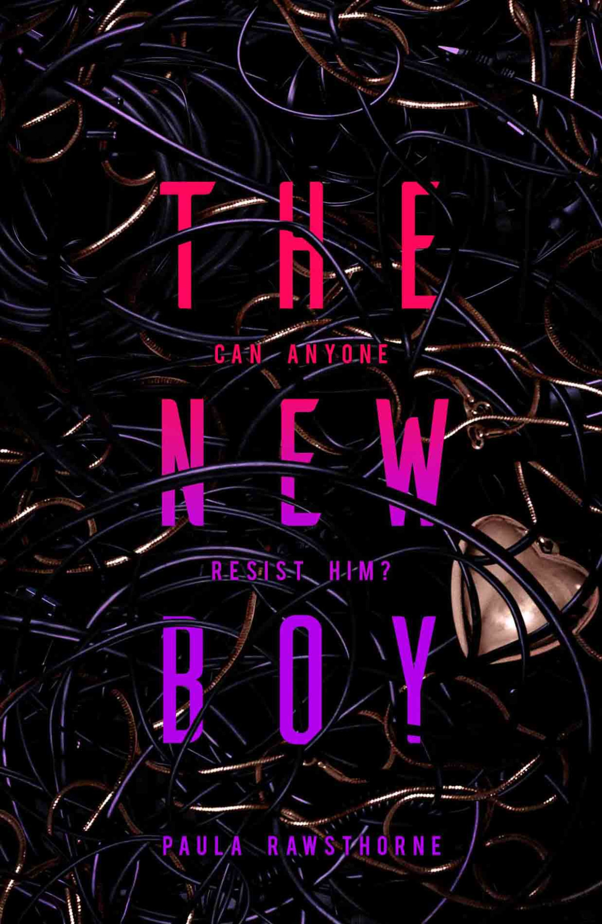 The New Boy Paula Rawsthorne
