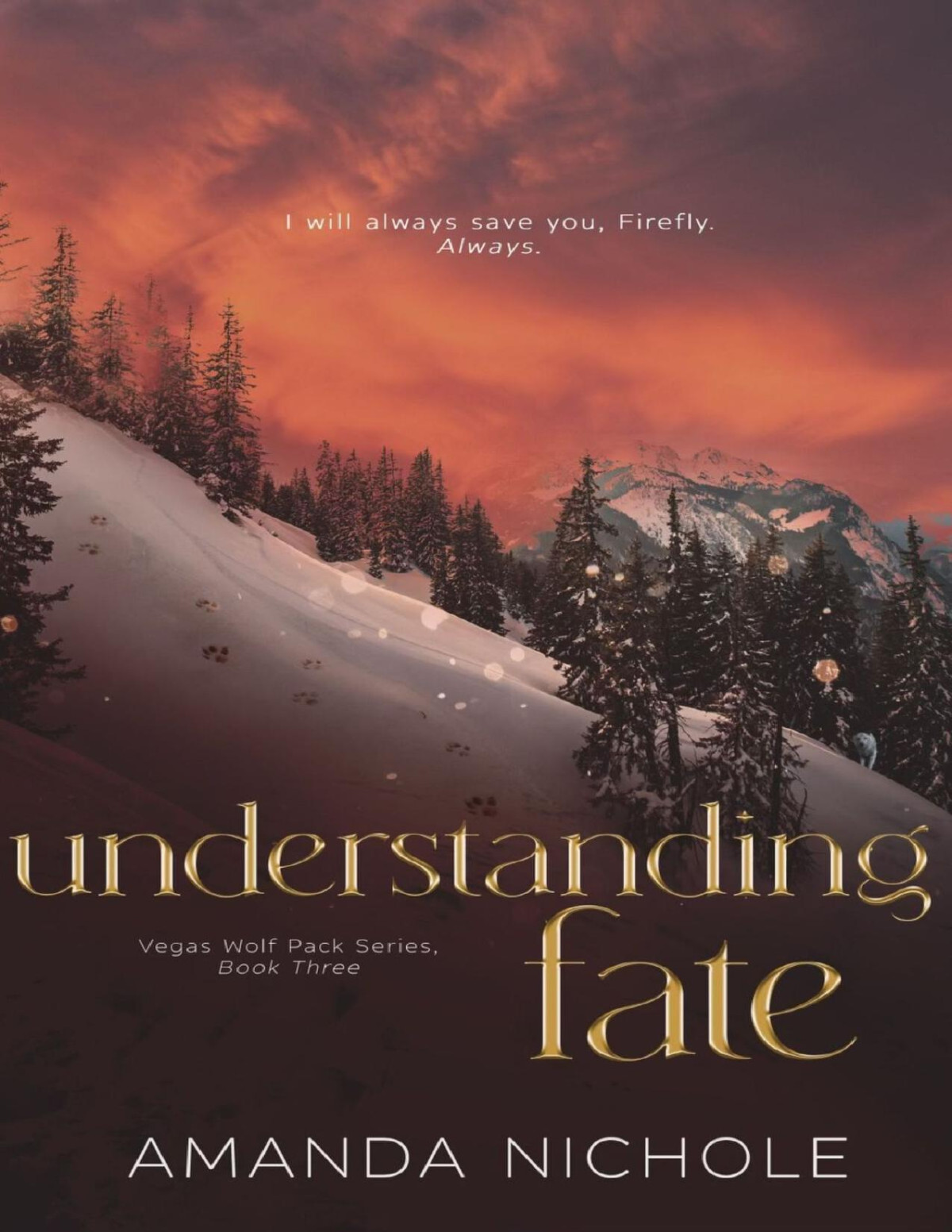 Understanding Fate Amanda Nichole
