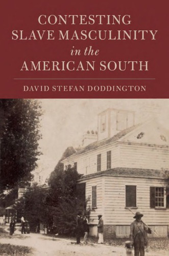 Contesting Slave Masculinity In The American South David Stefan Doddington