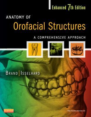 Anatomy Of Orofacial Structures A Comprehensive Approach 7th Enhanced Richard W Brand Donald E Isselhard
