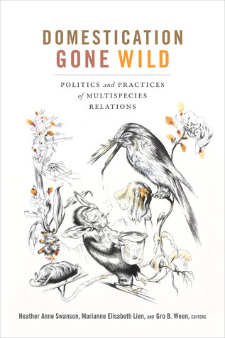 Domestication Gone Wild Politics And Practices Of Multispecies Relations Paperback Heather Anne Swanson Marianne Elisabeth Lien Gro B Ween
