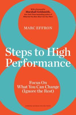 8 Steps To High Performance Focus On What You Can Change Ignore The Rest Hardcover Marc Effron