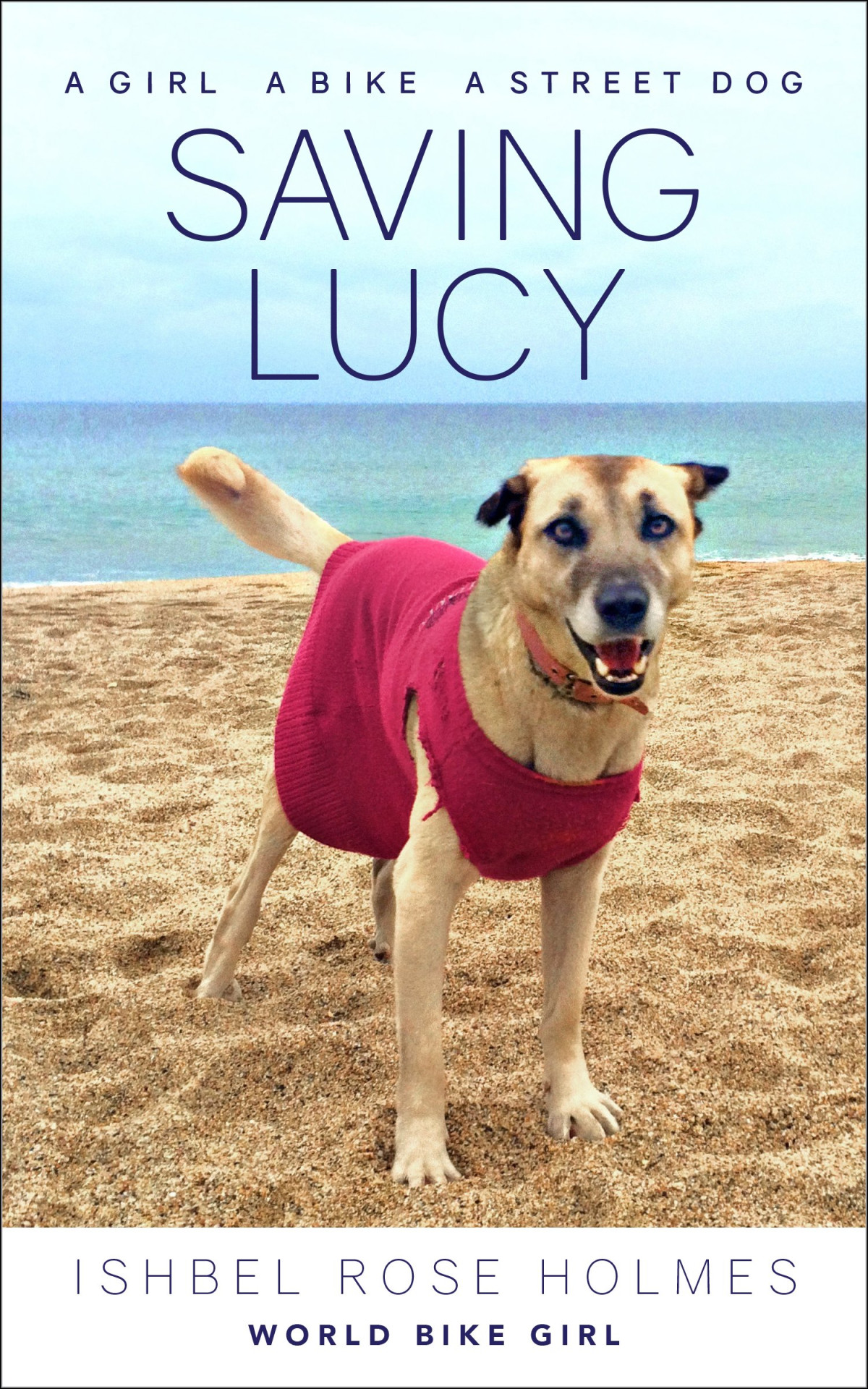 Saving Lucy A Girl A Bike A Street Dog Ishbel Rose Holmes
