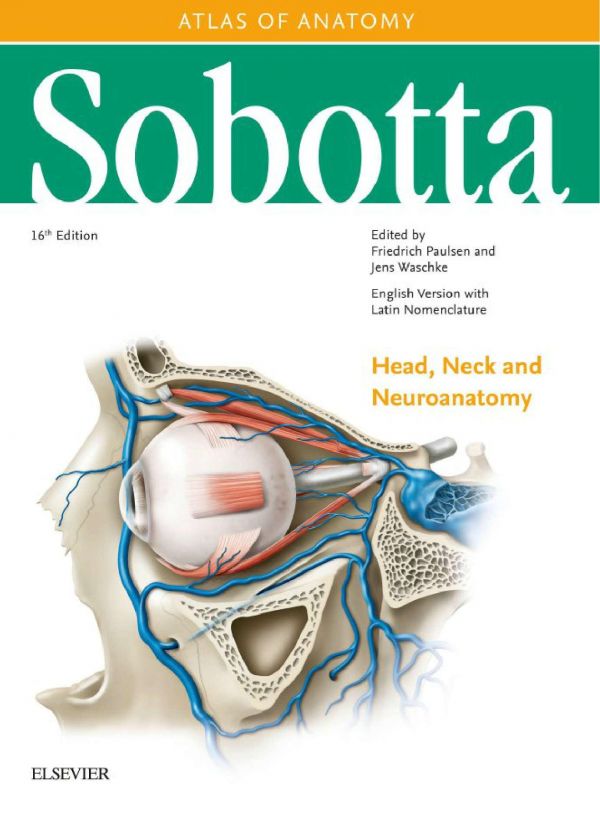 Sobotta Atlas Of Anatomy Vol 3 Head Neck And Neuroanatomy Englishlatin16th Ed 16th Edition Friedrich Paulsen