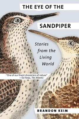 The Eye Of The Sandpiper Stories From The Living World Paperback Brandon Keim