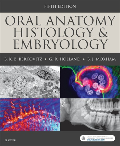 Oral Anatomy Histology And Embryology Paperback Bkb Berkovitz G R Holland Bernard J Moxham
