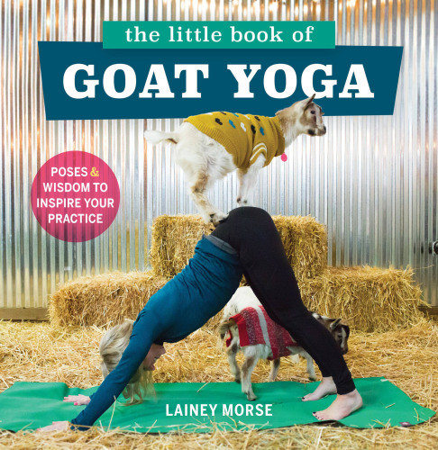 The Little Book Of Goat Yoga Poses And Wisdom To Inspire Your Practice Lainey Morse