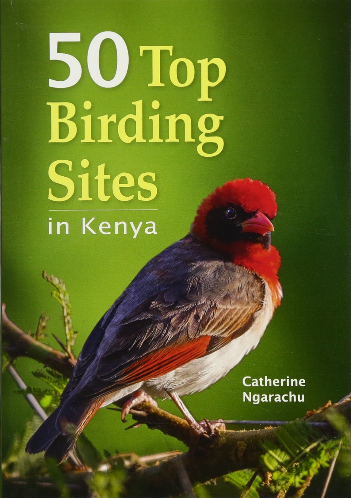 50 Top Birding Sites In Kenya Catherine Ngarachu