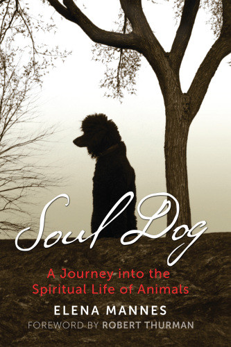 Soul Dog A Journey Into The Spiritual Life Of Animals Elena Mannes