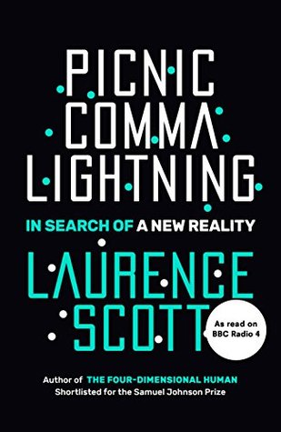 Picnic Comma Lightning In Search Of A New Reality Laurence Scott