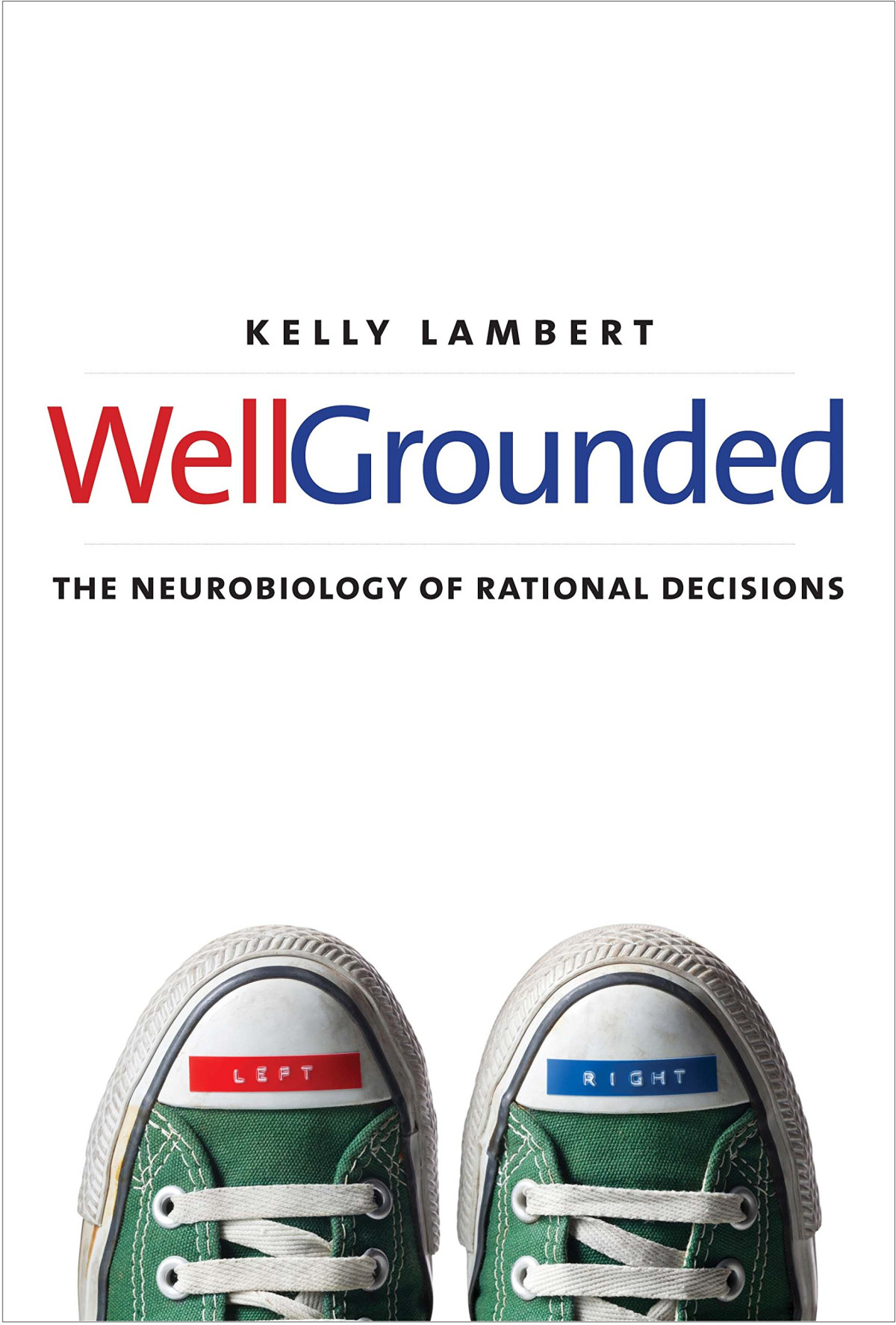 Wellgrounded The Neurobiology Of Rational Decisions Kelly Lambert