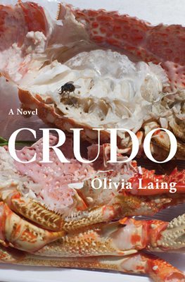 Crudo Hardcover Olivia Laing