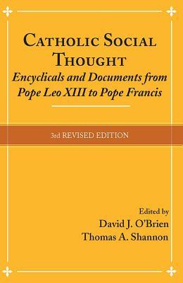 Catholic Social Thought Encyclicals And Documents From Pope Leo Xiii To Pope Francis Paperback David J Obrien Thomas A Shannon