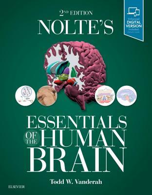 Noltes Essentials Of The Human Brain 2nd Edition Todd Vanderah