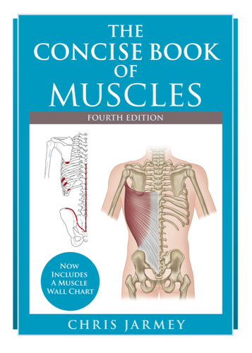 The Concise Book Of Muscles 4th Editon Chris Jarmey