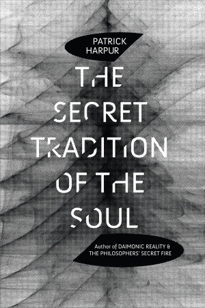 The Secret Tradition Of The Soul Paperback Patrick Harpur