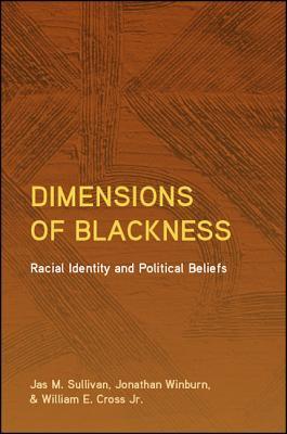 Dimensions Of Blackness Racial Identity And Political Beliefs Hardcover Jas M Sullivan Jonathan Winburn William E Cross
