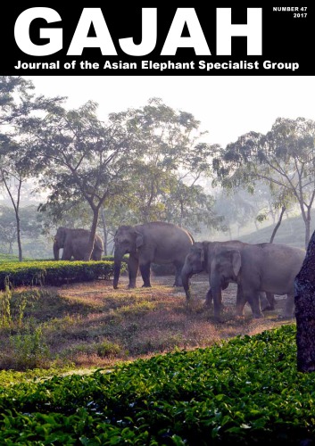 Gajah 47 Dr Jennifer Pastorini