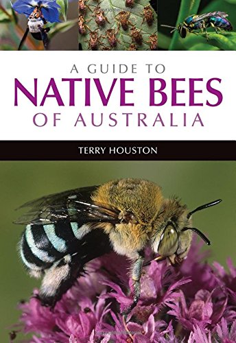 A Guide To Native Bees Of Australia 1st Edition Terry Houston