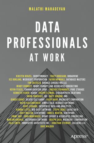 Data Professionals At Work 1st Ed Malathi Mahadevan