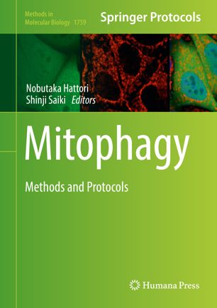 Mitophagy Methods And Protocols 1st Ed Nobutaka Hattori Shinji Saiki