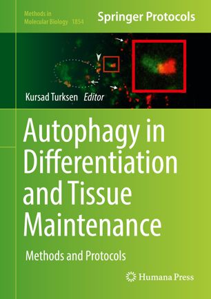 Autophagy In Differentiation And Tissue Maintenance Methods And Protocols 1st Ed Kursad Turksen
