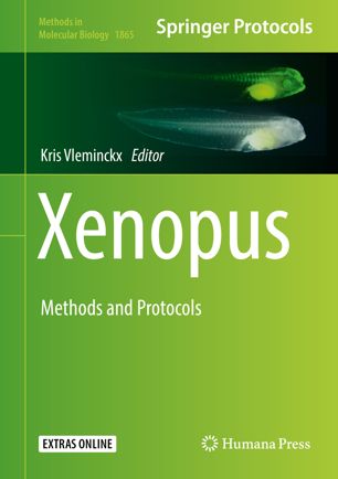 Xenopus Methods And Protocols 1st Ed Kris Vleminckx