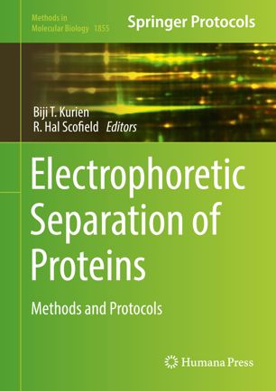 Electrophoretic Separation Of Proteins Methods And Protocols 1st Ed Biji T Kurien