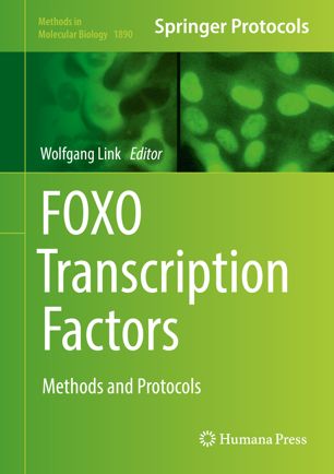 Foxo Transcription Factors Methods And Protocols 1st Ed Wolfgang Link