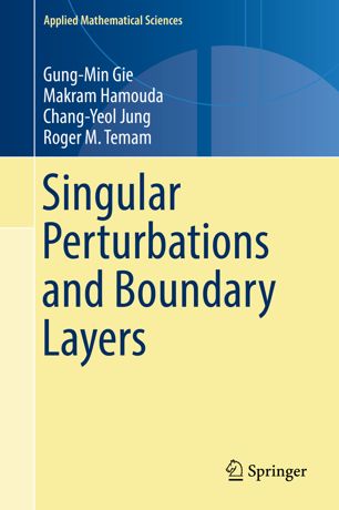 Singular Perturbations And Boundary Layers 1st Ed Gungmin Gie
