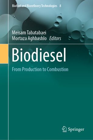 Biodiesel From Production To Combustion 1st Ed Meisam Tabatabaei
