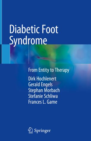 Diabetic Foot Syndrome From Entity To Therapy 1st Ed Dirk Hochlenert