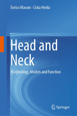 Head And Neck Morphology Models And Function 1st Ed Enrico Marani