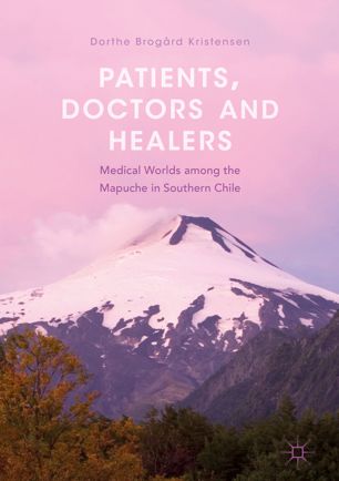 Patients Doctors And Healers Medical Worlds Among The Mapuche In Southern Chile 1st Ed Dorthe Brogrd Kristensen