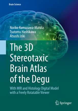 The 3d Stereotaxic Brain Atlas Of The Degu With Mri And Histology Digital Model With A Freely Rotatable Viewer 1st Ed Noriko Kumazawamanita