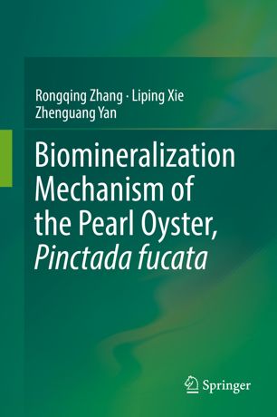 Biomineralization Mechanism Of The Pearl Oyster Pinctada Fucata 1st Ed Rongqing Zhang