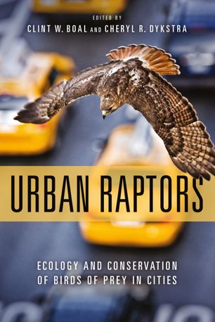 Urban Raptors Ecology And Conservation Of Birds Of Prey In Cities 1st Edition Clint Boal