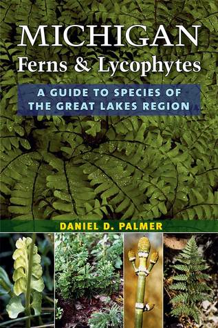 Michigan Ferns And Lycophytes A Guide To Species Of The Great Lakes Region Paperback Daniel D Palmer