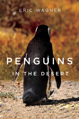 Penguins In The Desert Eric Wagner