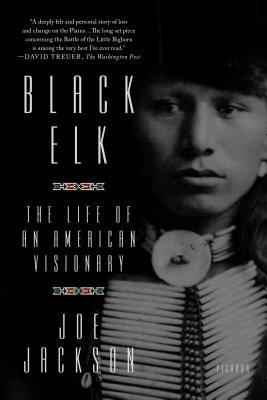 Black Elk The Life Of An American Visionary Paperback Joe Jackson