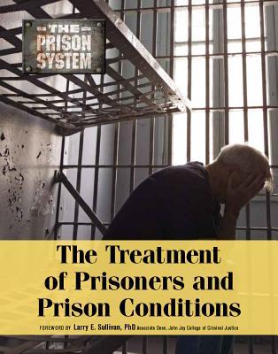 The Treatment Of Prisoners And Prison Conditions Hardcover Roger Smith