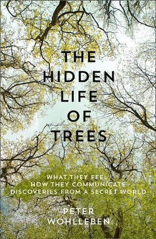 The Hidden Life Of Trees What They Feel How They Communicate Paperback Peter Wohlleben