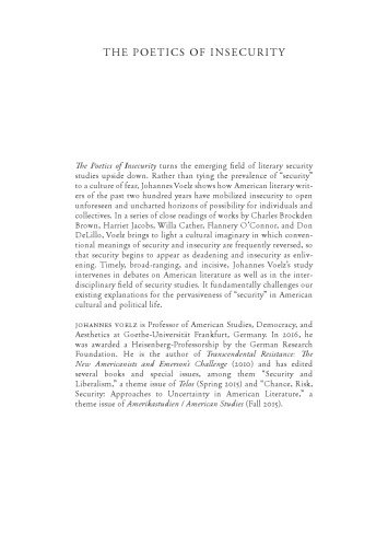 The Poetics Of Insecurity American Fiction And The Uses Of Threat Hardcover Johannes Voelz