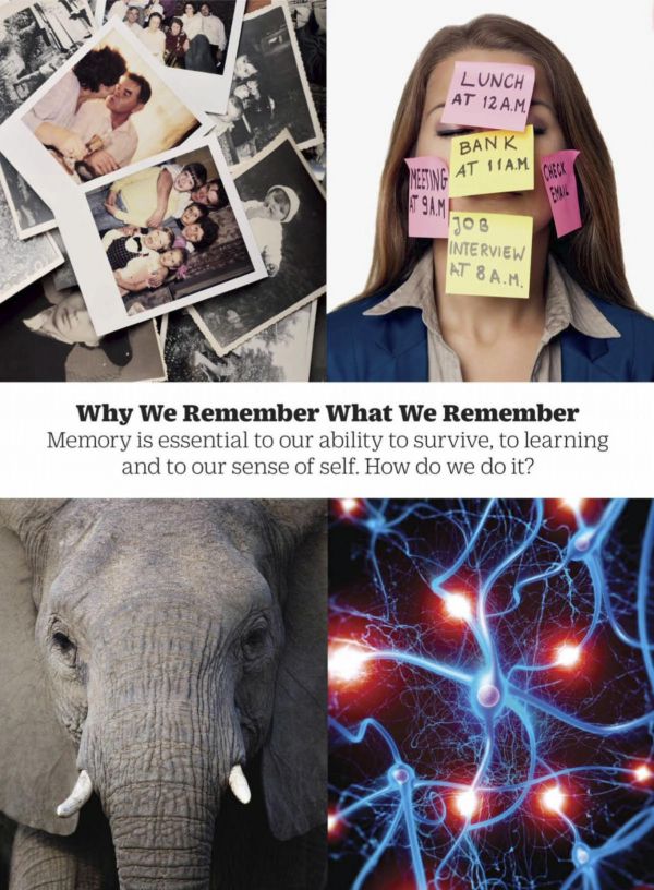 Time The Science Of Memory Paperback The Editors Of Time