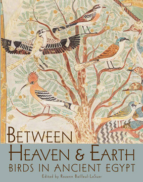 Between Heaven And Earth Birds In Ancient Egypt Paperback Rozenn Bailleullesuer