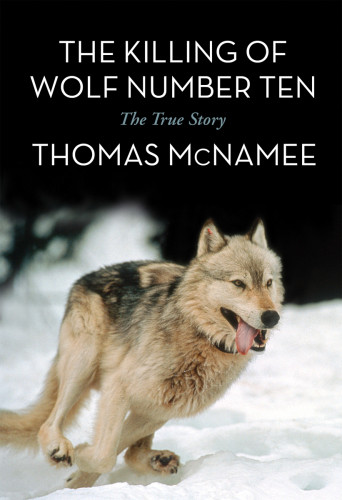 The Killing Of Wolf Number Ten Thomas Mcnamee