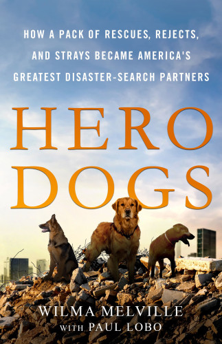 Hero Dogs How A Pack Of Rescues Rejects And Strays Became Americas Greatest Disastersearch Partners Wilma Melville