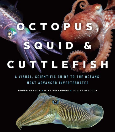 Octopus Squid Cuttlefish A Visual Scientific Guide To The Oceans Most Advanced Invertebrates 1st Edition Roger Hanlon