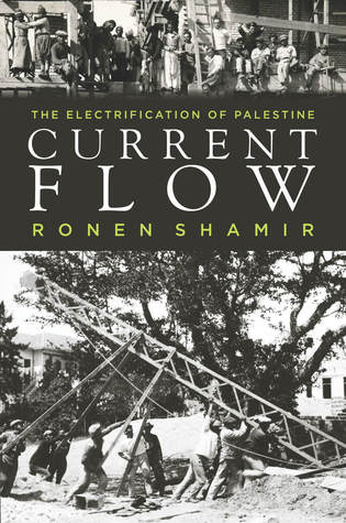 Current Flow The Electrification Of Palestine Hardcover Ronen Shamir